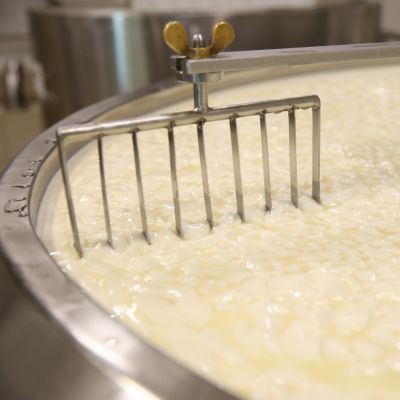 Cheese Production