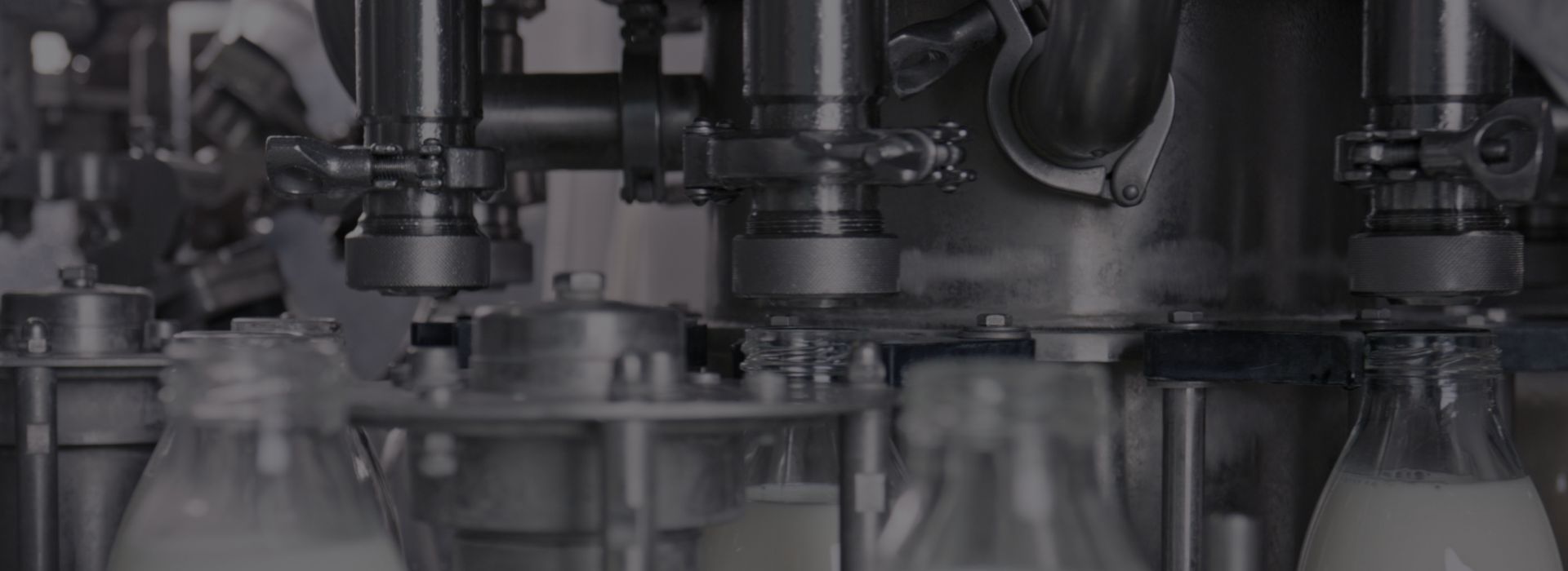 Dairy Clamp Fittings manufacturer
