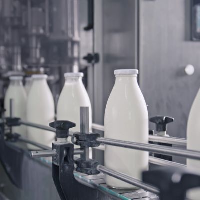 Dairy Industry