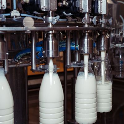 Dairy Processing Systems
