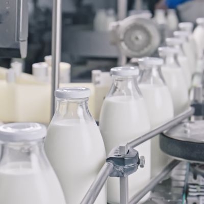 Dairy Products