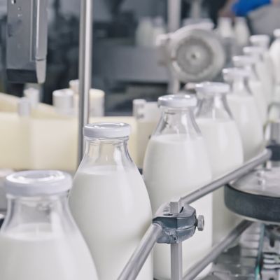 Dairy