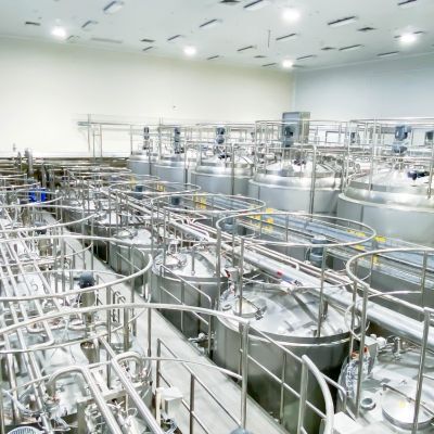 Fermented Dairy Products
