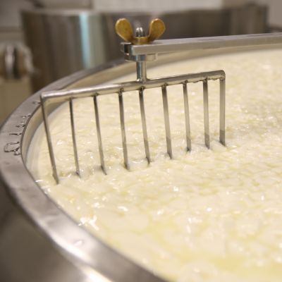 Whey and Functional Dairy Products