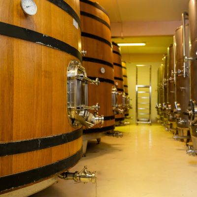 Wine Making