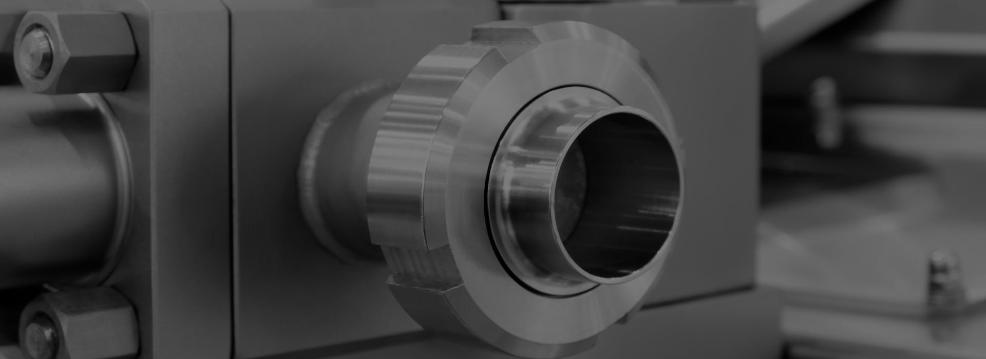 sanitary stainless steel union