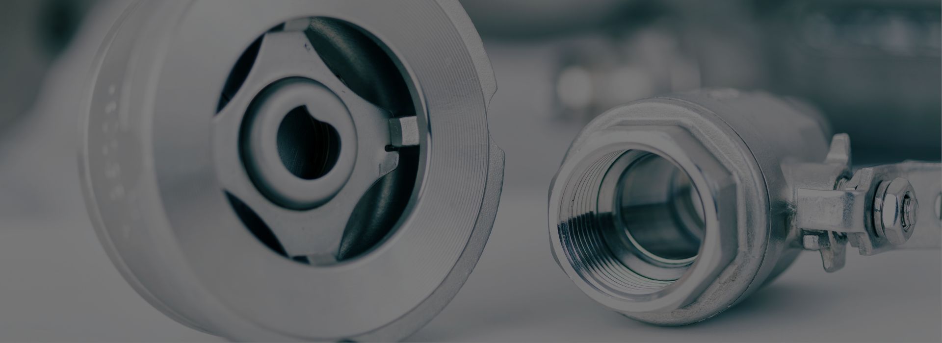Sanitary Check Valve Manufacturer