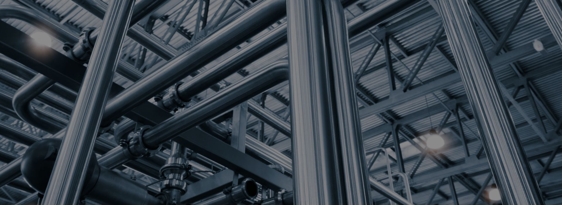 Sanitary BPE Pipe Fittings Manufacturer