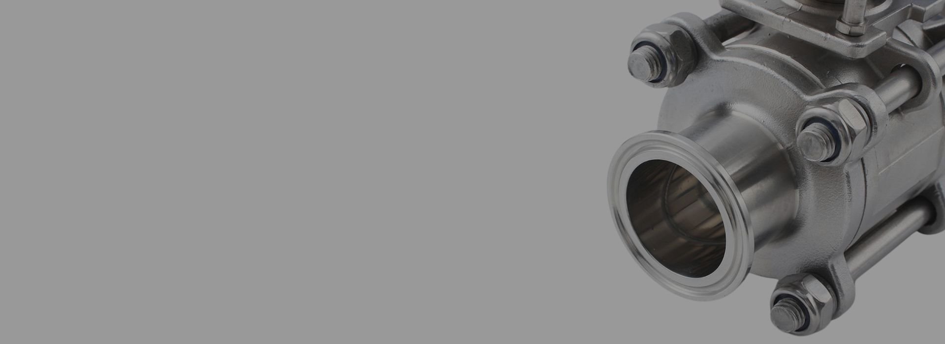 Tri Clamp Ball Valve Manufacturer